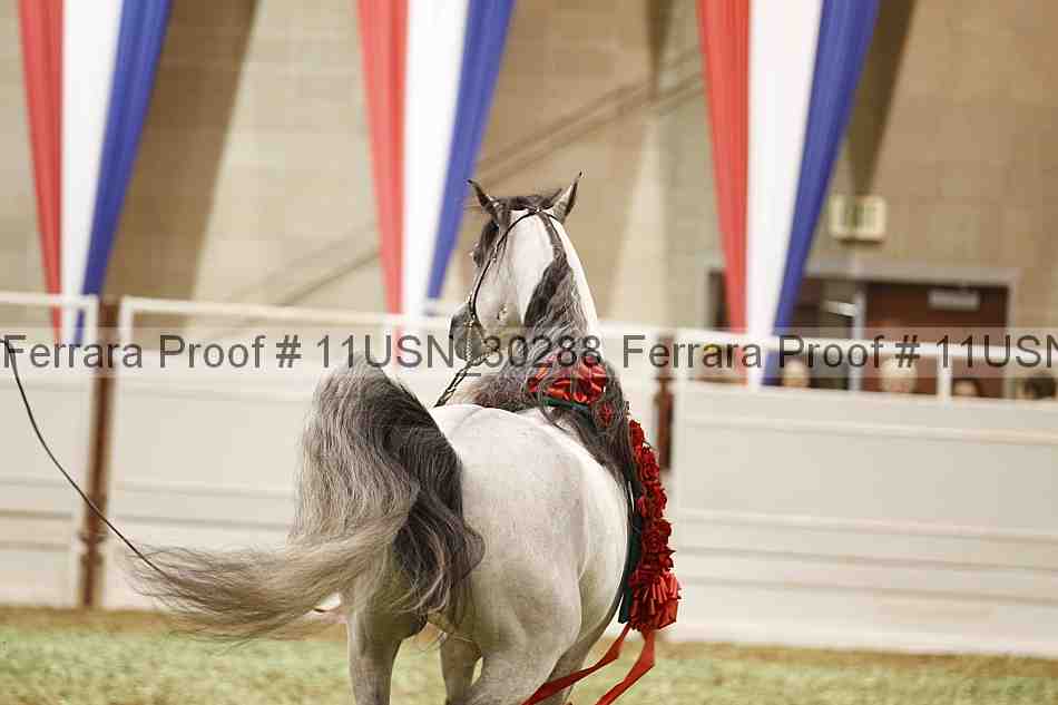 Proof 11usn_30288
