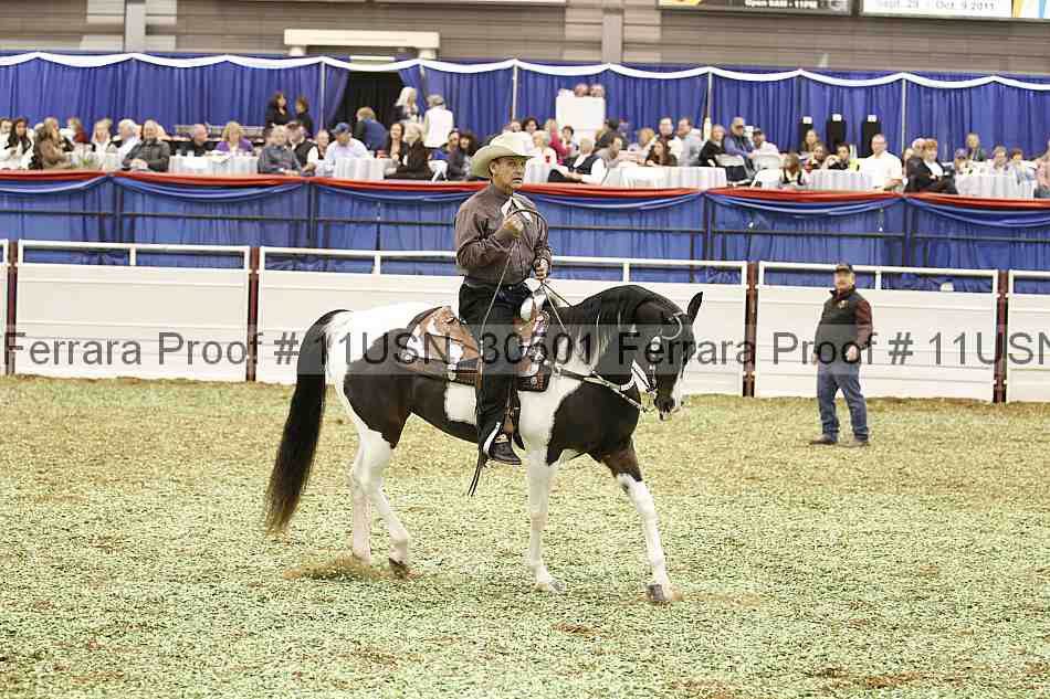 Proof 11usn_30501