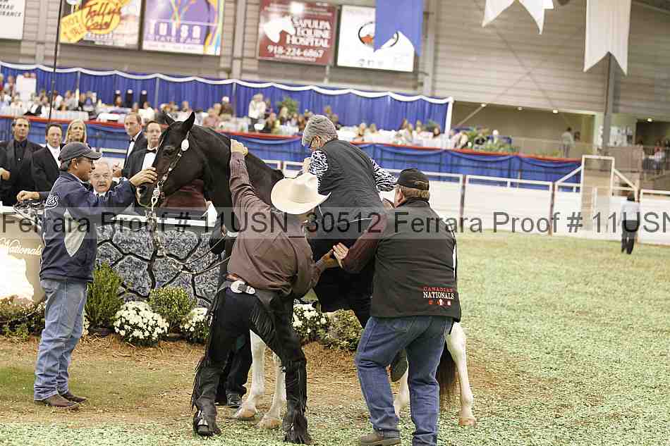 Proof 11usn_30512
