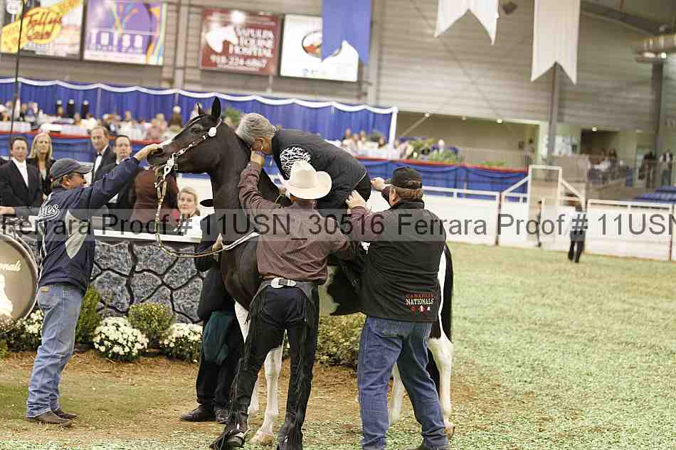 Proof 11usn_30516
