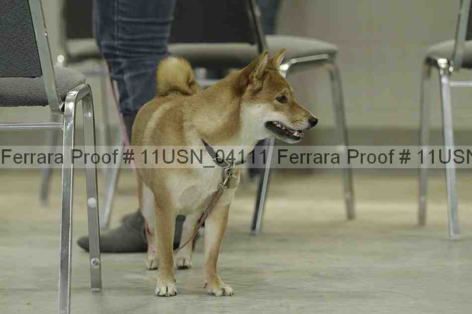 Proof 11usn_04111