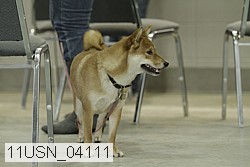 11usn_04111 proof