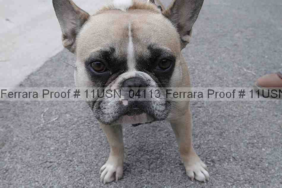 Proof 11usn_04113