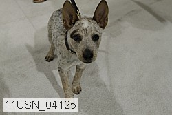 11usn_04125 proof