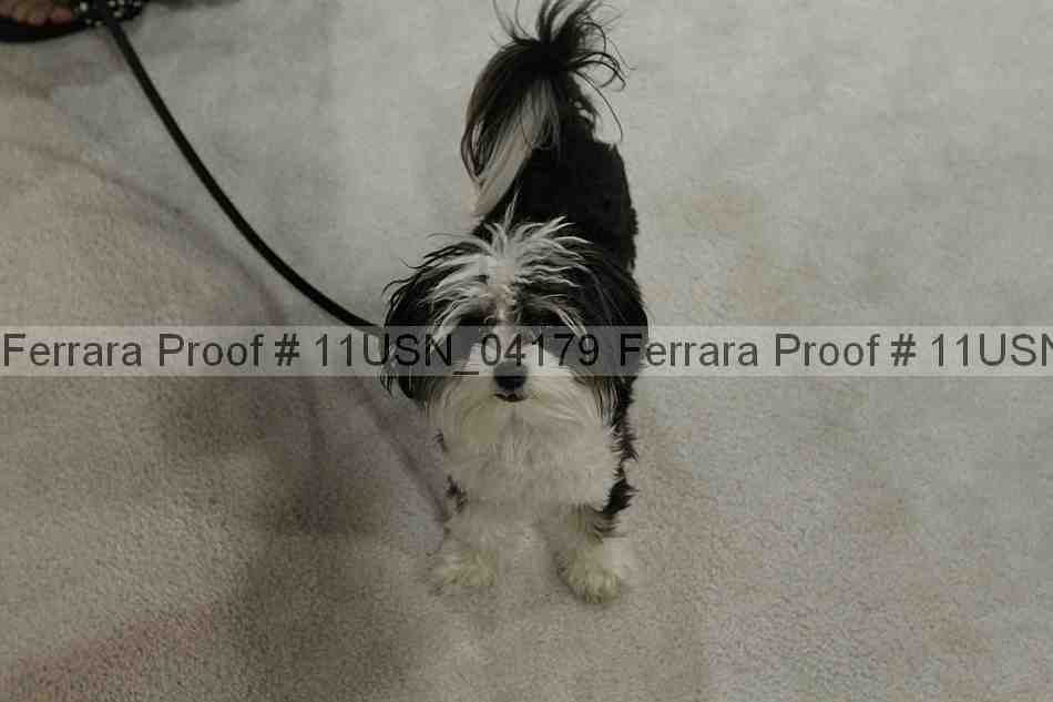Proof 11usn_04179