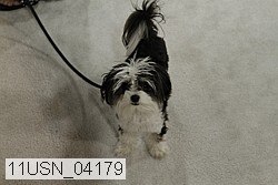 11usn_04179 proof