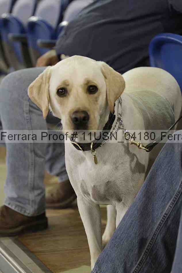 Proof 11usn_04180