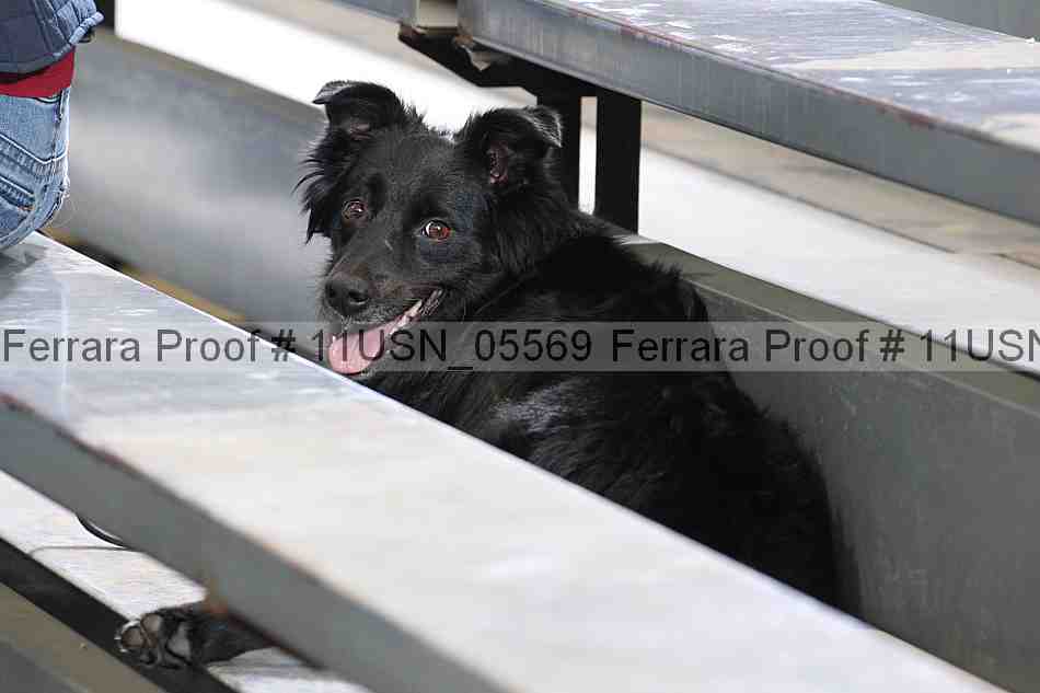 Proof 11usn_05569