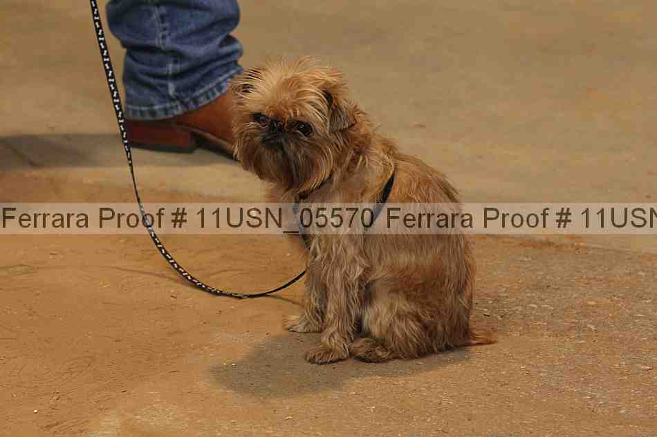 Proof 11usn_05570