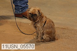 11usn_05570 proof
