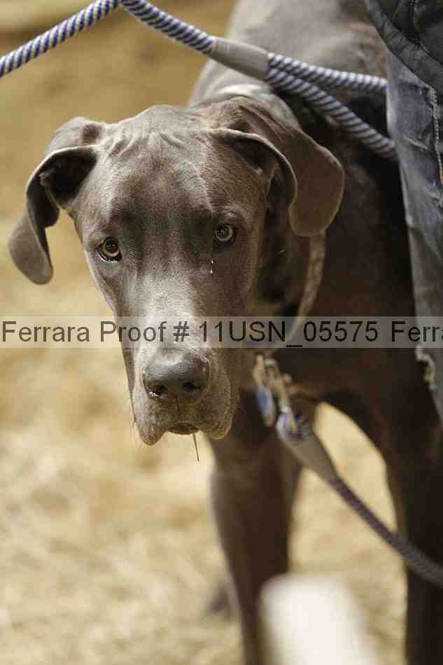 Proof 11usn_05575