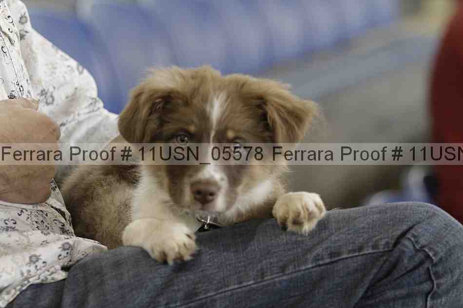 Proof 11usn_05578