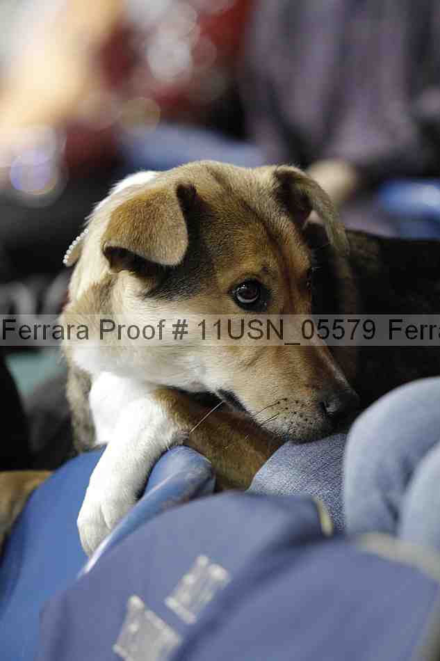 Proof 11usn_05579