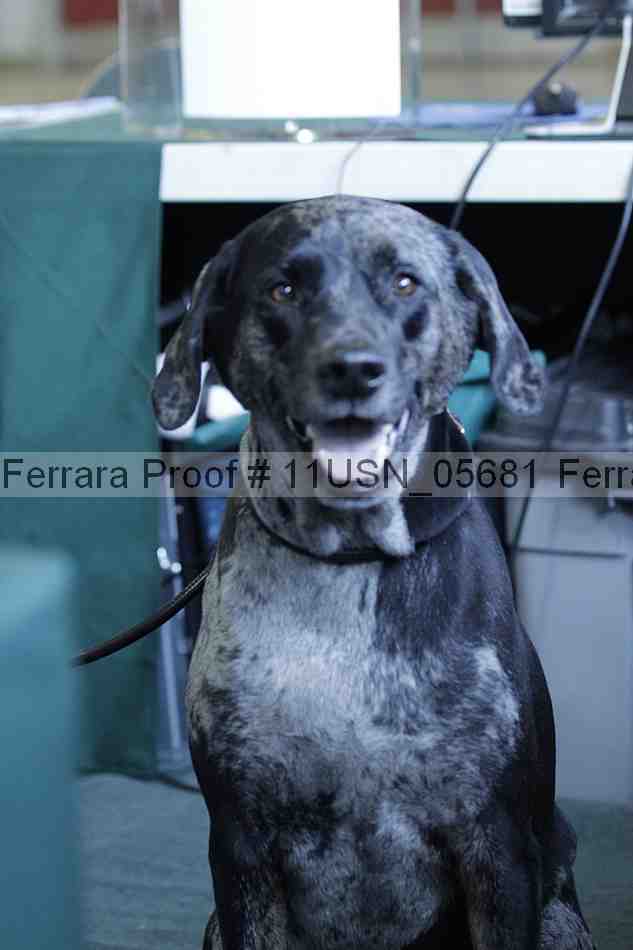 Proof 11usn_05681