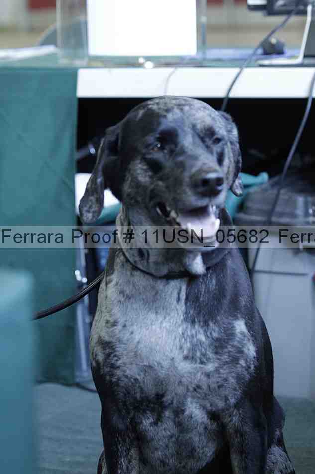 Proof 11usn_05682
