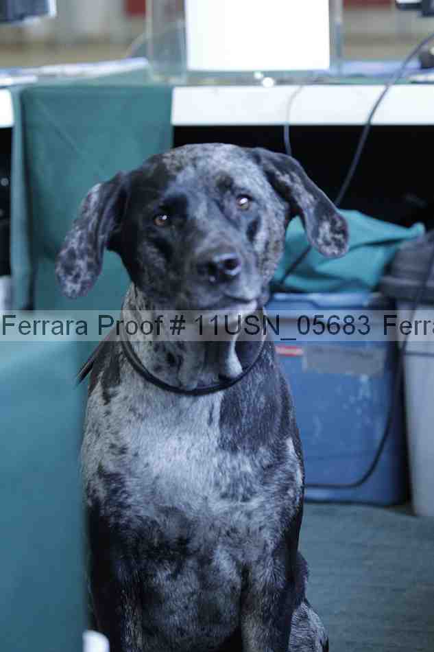 Proof 11usn_05683