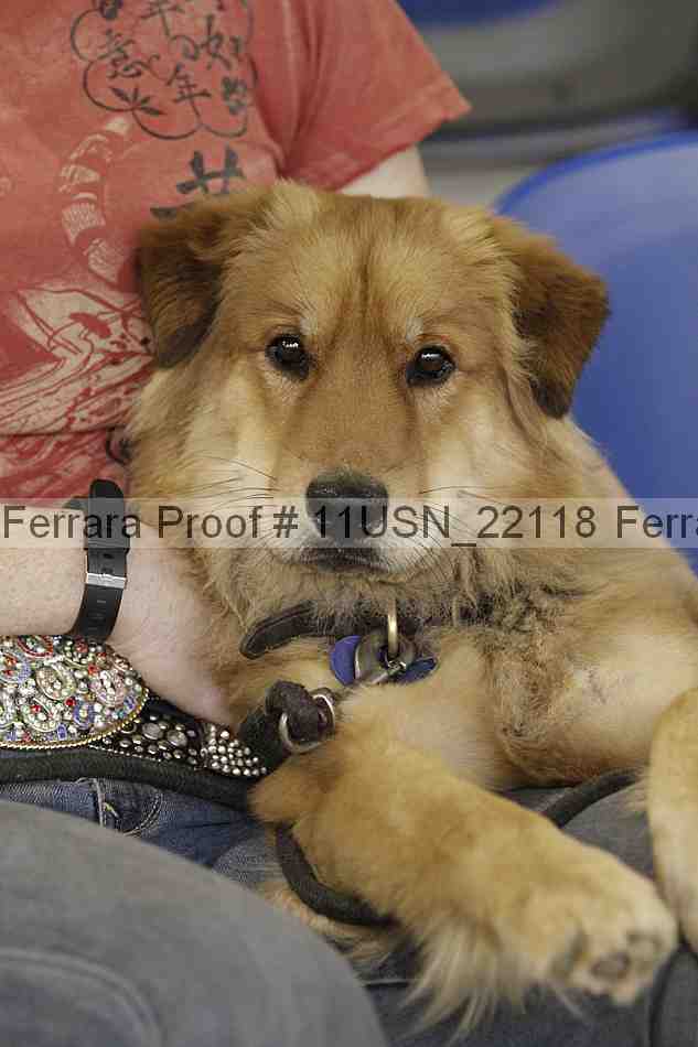 Proof 11usn_22118