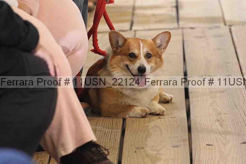 Proof 11usn_22124