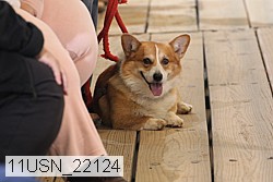 11usn_22124 proof
