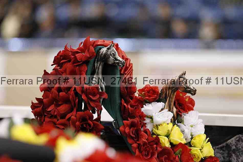 Proof 11usn_27461