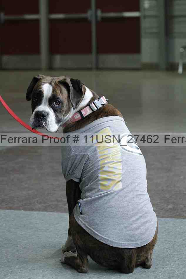 Proof 11usn_27462