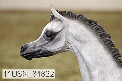11usn_34822 proof