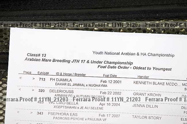 Proof 11yn_21203