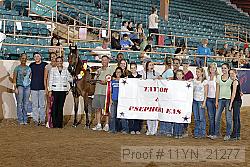 11yn_21277 proof
