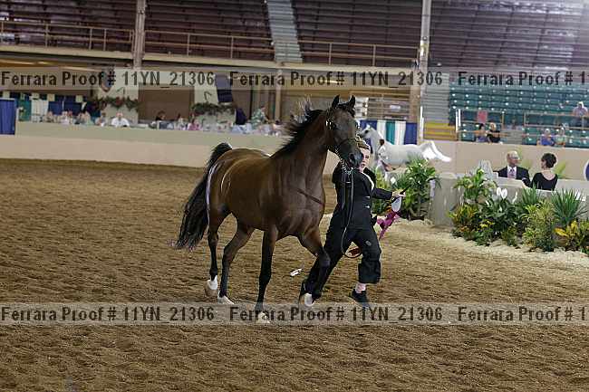 Proof 11yn_21306