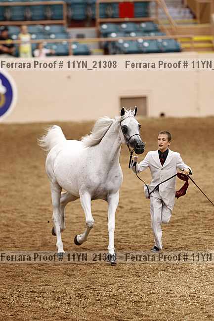 Proof 11yn_21308