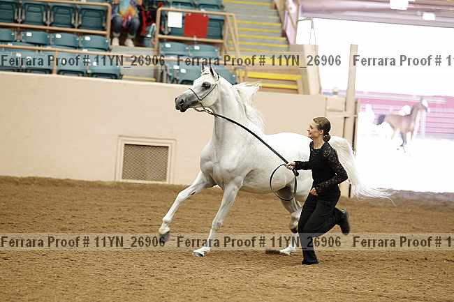 Proof 11yn_26906