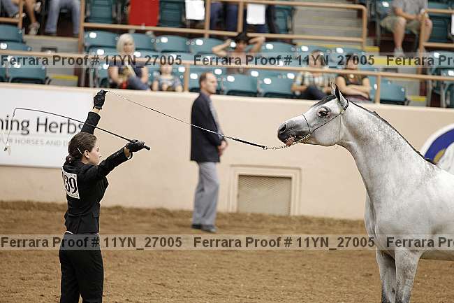 Proof 11yn_27005
