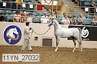 11yn_27032 proof