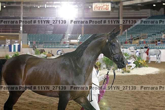 Proof 11yn_27139