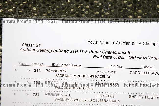 Proof 11yn_19577
