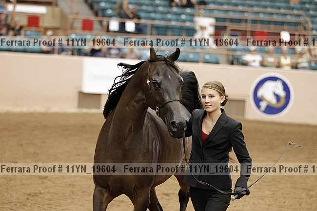 Proof 11yn_19604