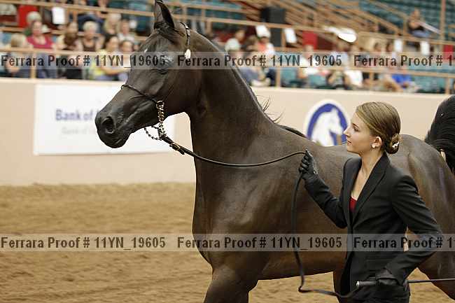 Proof 11yn_19605