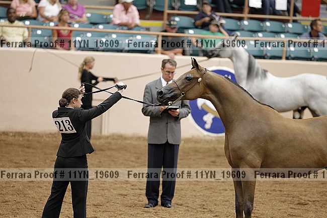Proof 11yn_19609