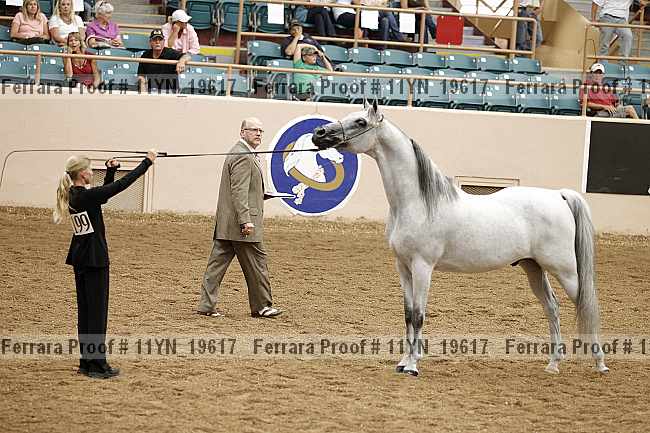 Proof 11yn_19617