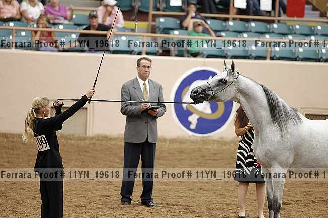 Proof 11yn_19618