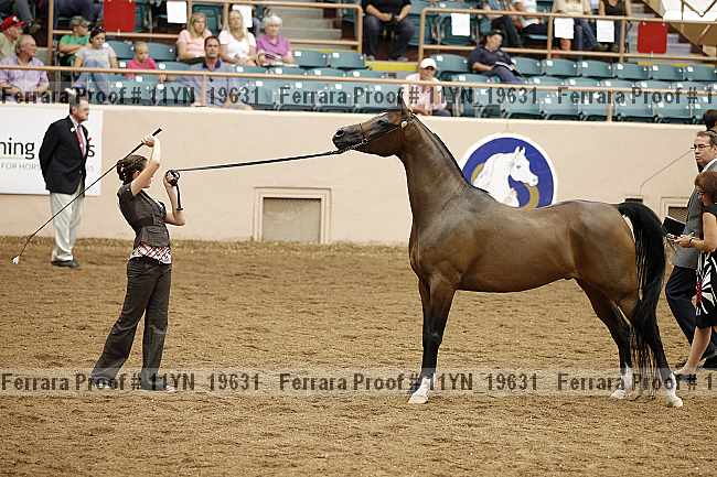 Proof 11yn_19631