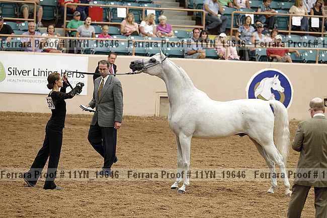 Proof 11yn_19646