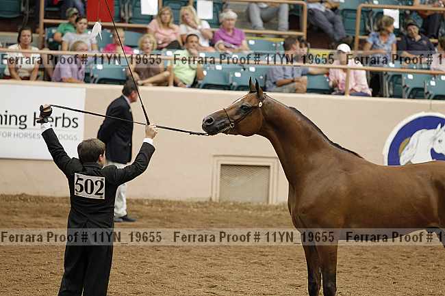 Proof 11yn_19655