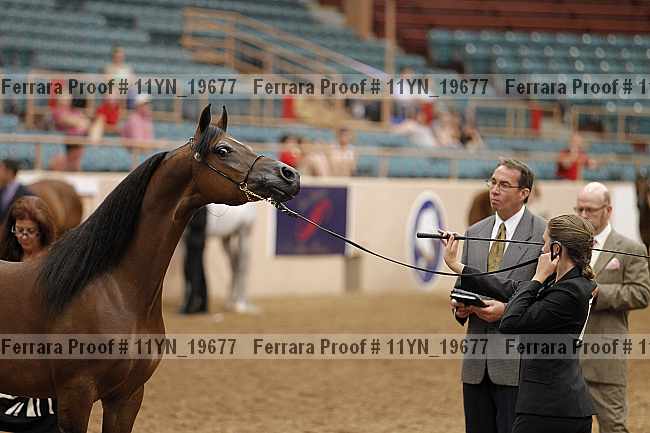 Proof 11yn_19677