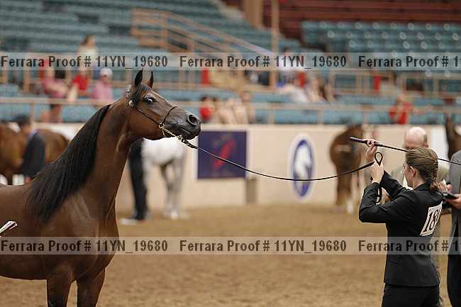 Proof 11yn_19680