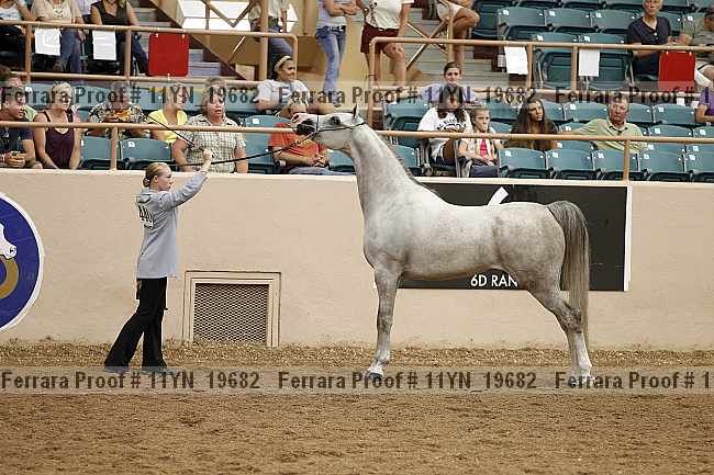 Proof 11yn_19682