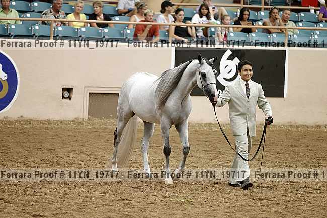 Proof 11yn_19717