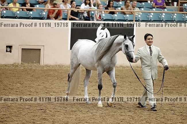 Proof 11yn_19718