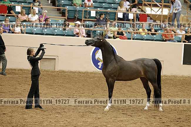 Proof 11yn_19727
