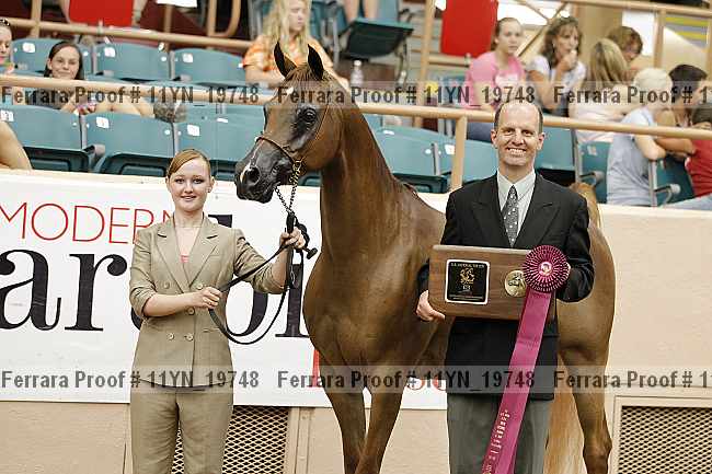 Proof 11yn_19748